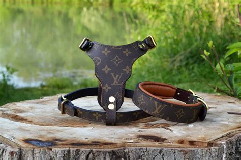 designer dog harness louis vuitton|authentic louis vuitton pet carrier.